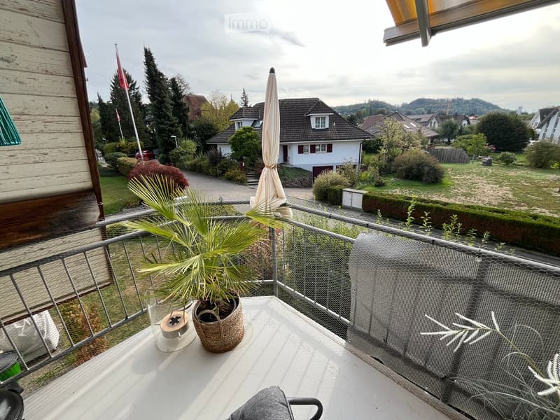 Balcony with a potted plant, umbrella, and a view of the neighborhood with houses and greenery.