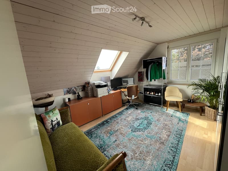 A cozy attic room with wooden walls and ceiling, featuring a sofa, desk with computer, chair, cabinet, cat bed, plant, and a large rug.