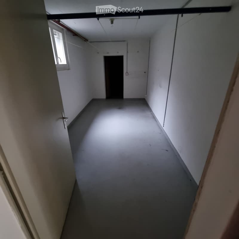 Empty hallway with white walls, grey floor, and a single door at the end. Natural light comes from a small window on the left side.
