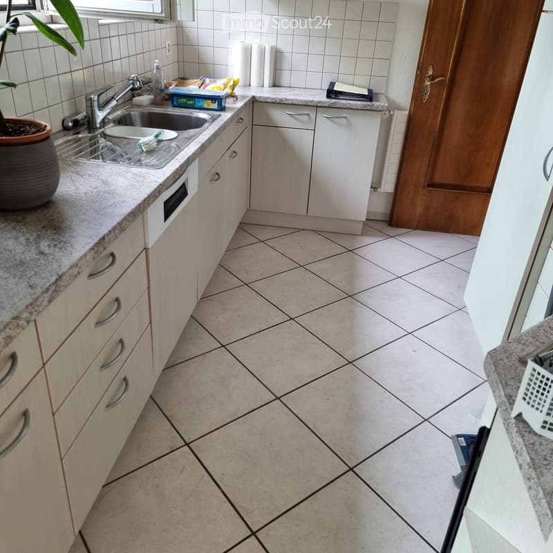Modern kitchen with white cabinets, granite countertops, and tiled floor. Features a sink with a faucet, a dish rack, and a small plant on the counter.
