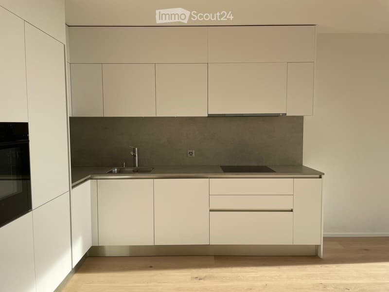 Modern kitchen with light-colored cabinets, a stainless steel sink, and a built-in oven. The countertops are a dark gray material, and the floor is light wood.