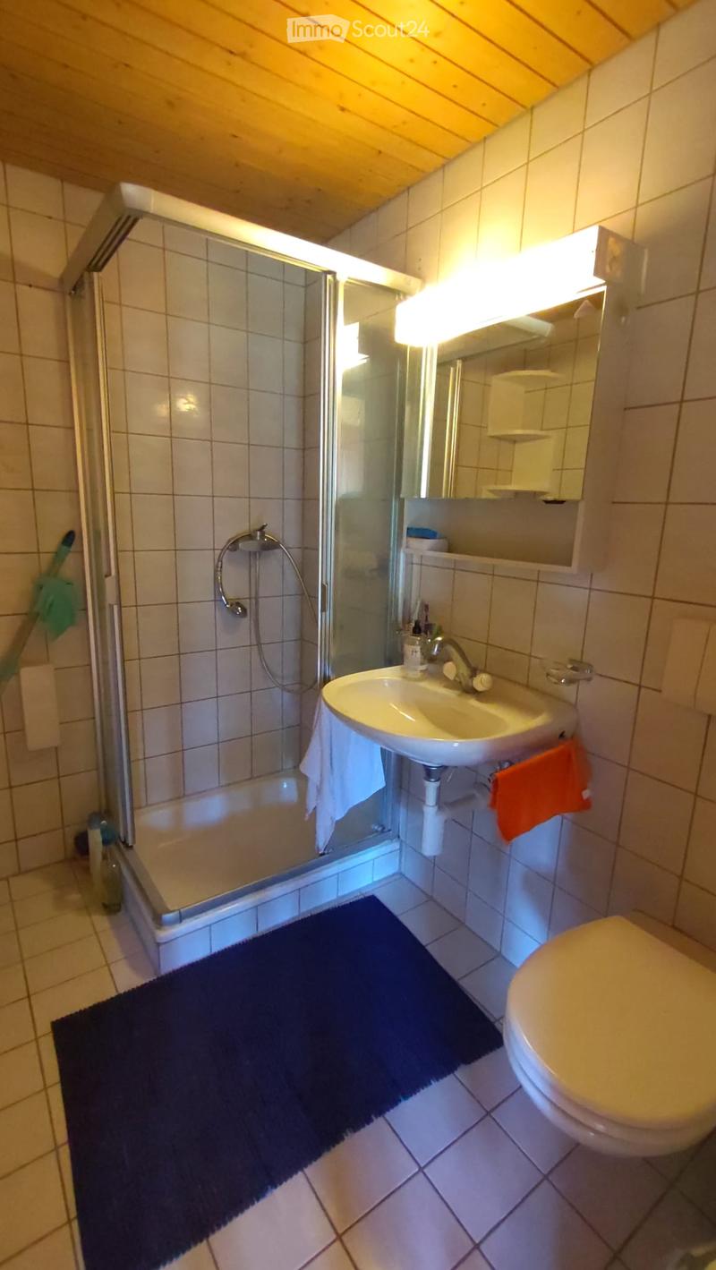 Bathroom with a sink, toilet, mirror, and a glass-enclosed shower. Features a dark blue bathroom rug and an orange towel on the side.