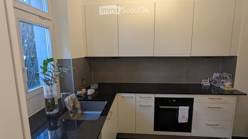 Modern kitchen with white cabinets, black countertops, stainless steel sink, and built-in oven. Features a potted plant on the counter and various small items including cups and a towel.