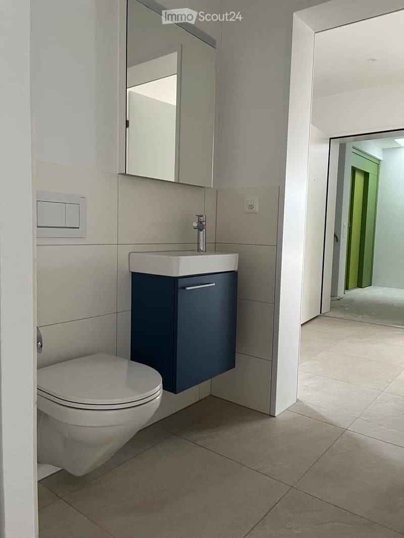 Modern bathroom with a white toilet, a white sink with a chrome faucet, a dark blue cabinet, and a large mirror above the sink.