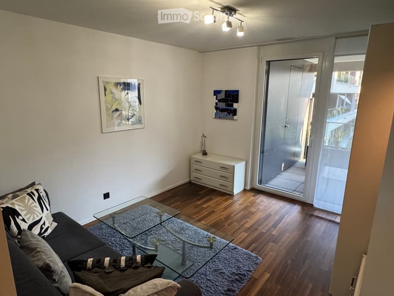 Modern living room with wooden flooring, a grey sofa with patterned cushions, a glass coffee table, a small white drawer unit, and artwork on the walls. A sliding glass door leads to a balcony.