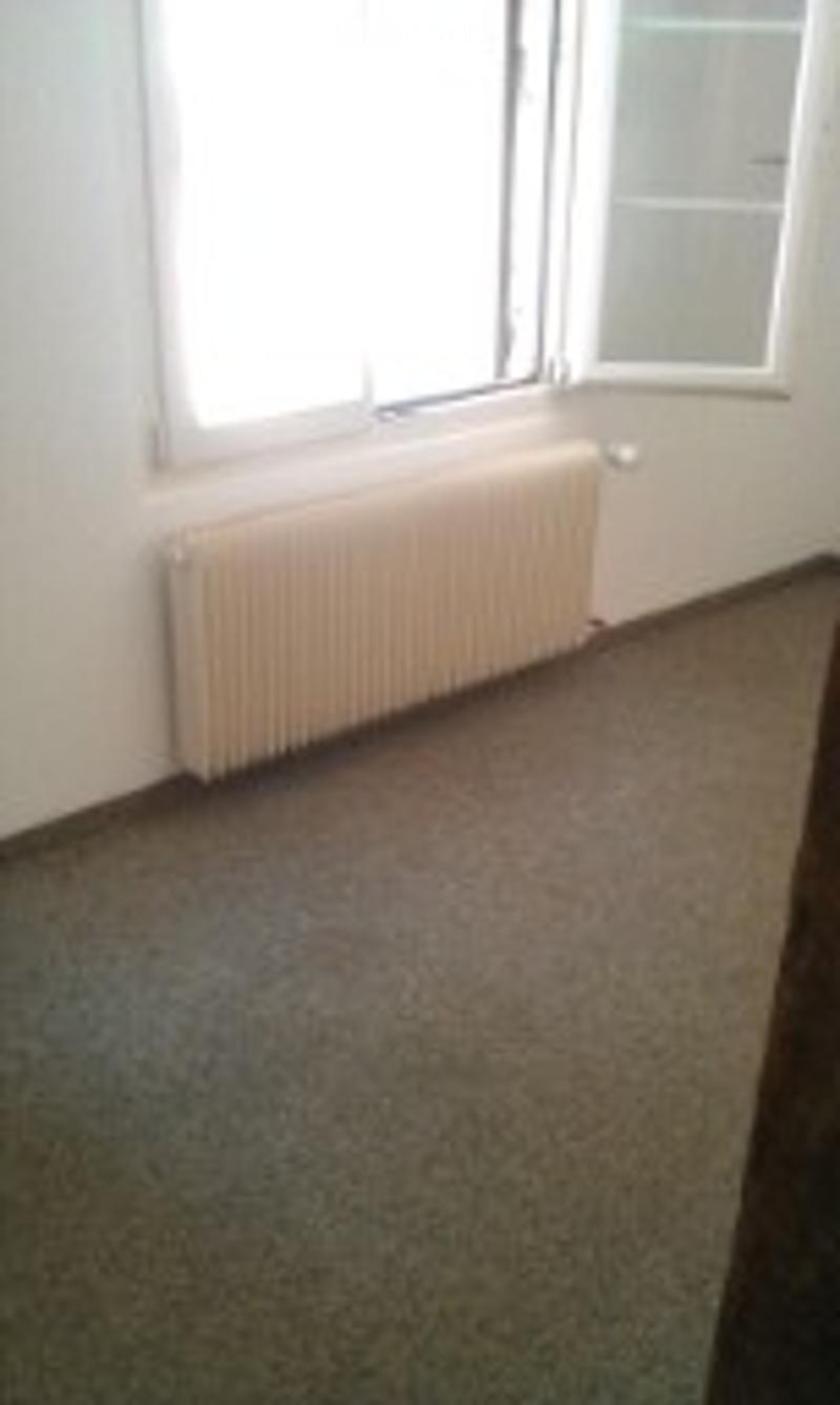Empty room with white walls, carpeted floor, large windows, and a radiator.