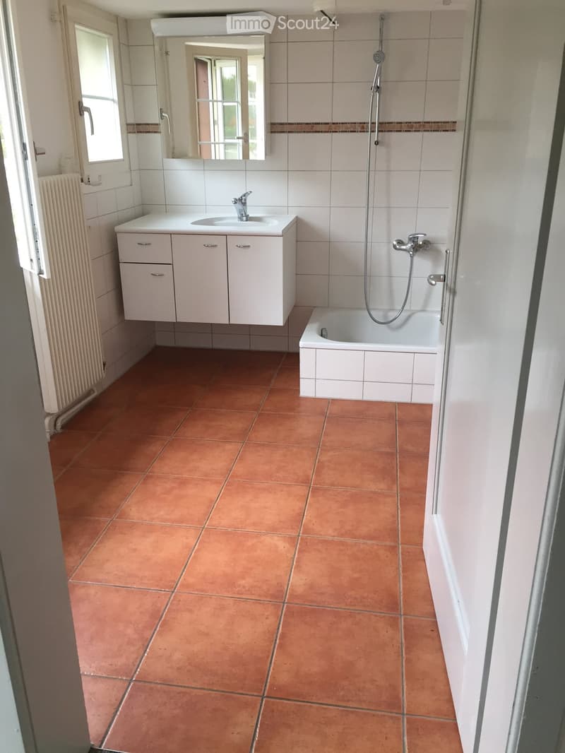 Bathroom with a white sink, bathtub, mirror, and radiator. The floor is tiled in a warm orange color.