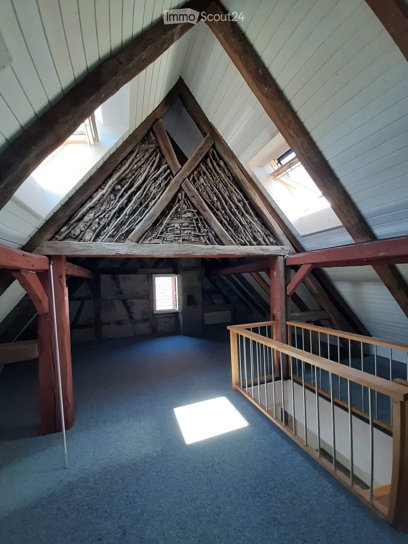 An attic space with exposed wooden beams, a wooden railing, and skylights allowing natural light to enter. The floor is carpeted in blue.