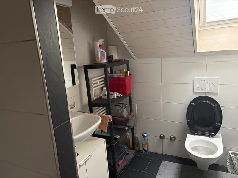 Modern bathroom with a white sink, black toilet, and a black shelving unit holding cleaning supplies and personal items.