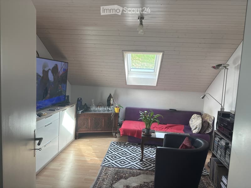Cozy living room with wooden floors, slanted ceiling, skylight window, purple sofa with red blanket, coffee table, armchair, TV, cabinet, and decorative items.