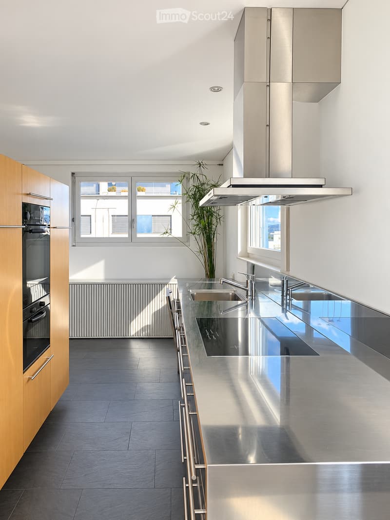Modern kitchen with stainless steel countertops, wooden cabinets, built-in oven, and a sleek range hood. Features a large window with a view and a potted plant on the counter.