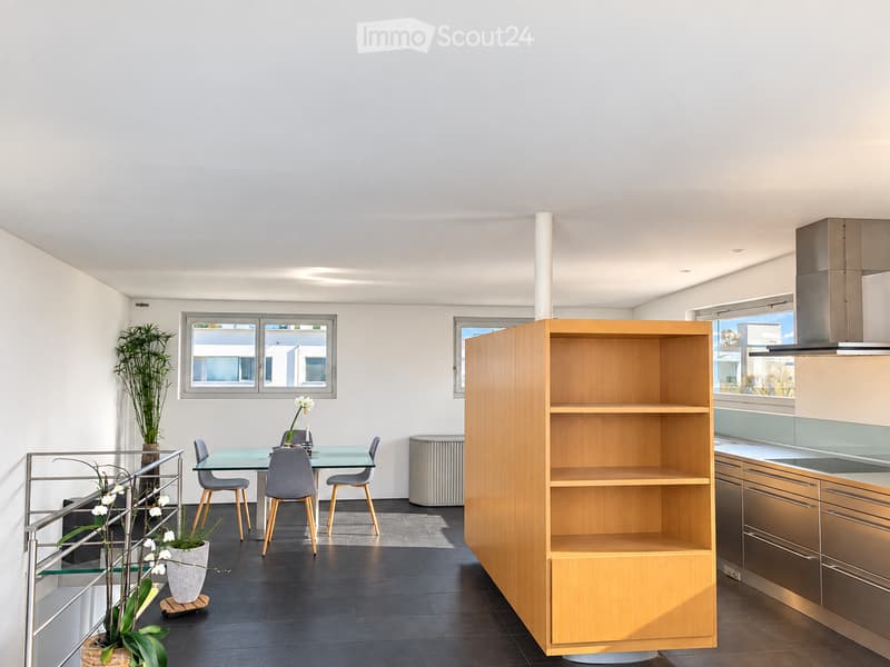 Modern open-plan space with a glass dining table and chairs, wooden shelving unit, kitchen cabinets, and potted plants.