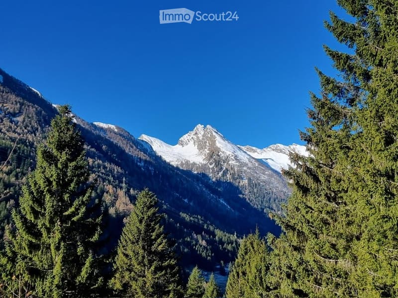 A scenic mountain view with snow-capped peaks, surrounded by dense evergreen trees under a clear blue sky.