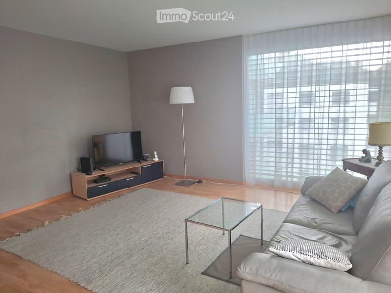 Modern living room with a grey sofa, glass coffee table, flat-screen TV on a wooden stand, floor lamp, and a small side table with a decorative item.