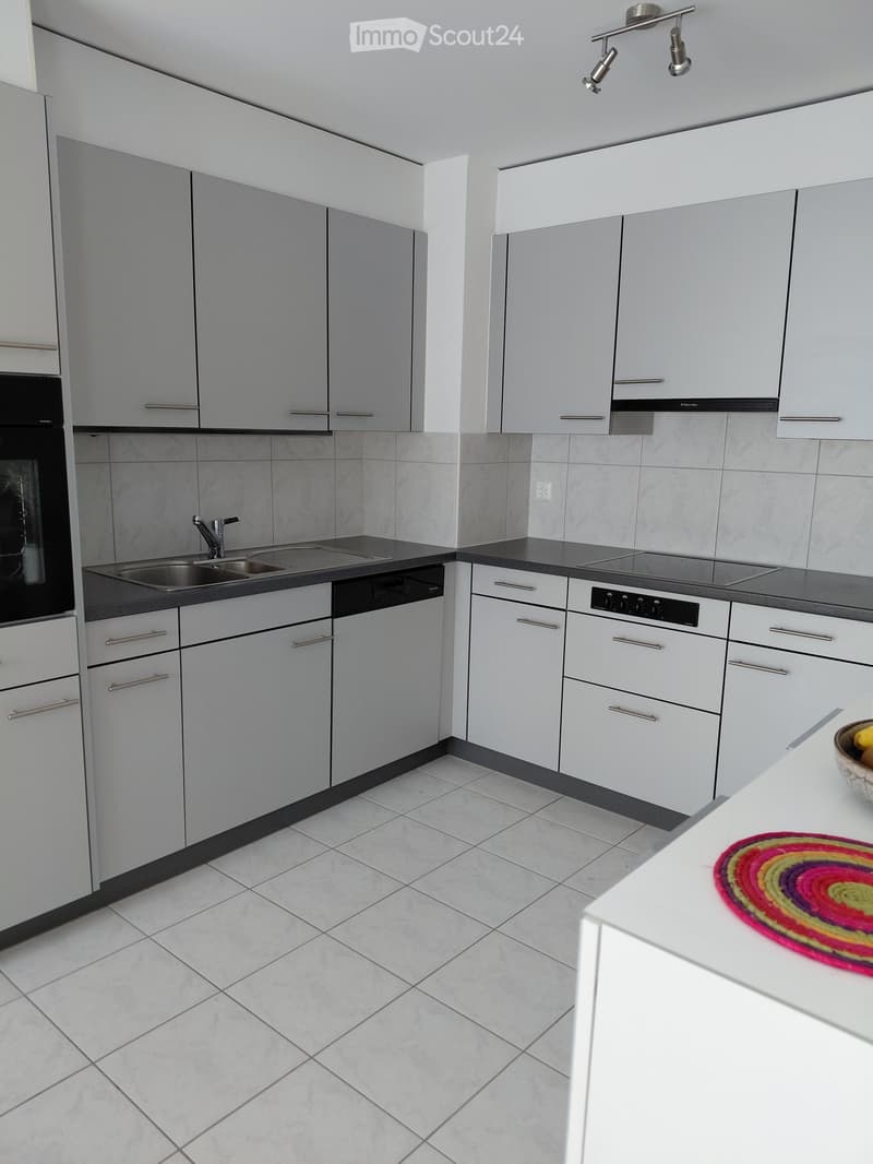 Modern kitchen with grey cabinets, white countertops, stainless steel sink, oven, dishwasher, and a colorful rug on the island.