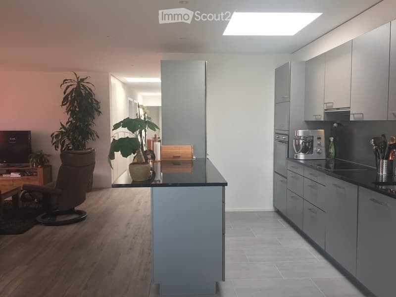 Modern, open-plan living and kitchen area with grey cabinets, a central island, a sofa, a coffee table, a chair, and potted plants. The kitchen features a fridge, microwave, sink, and various utensils.