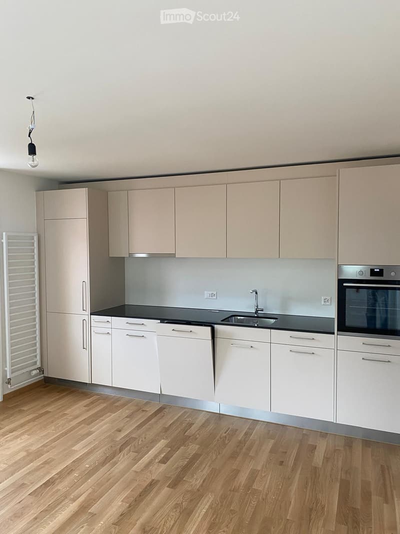 Modern kitchen with light-colored cabinets, a black countertop, and stainless steel appliances including a sink, faucet, oven, and dishwasher. Wooden flooring and a radiator are also visible.