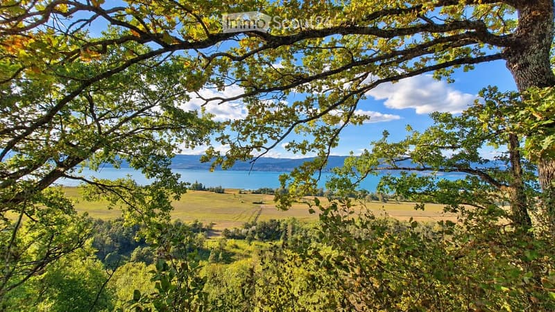 Scenic outdoor view with trees, fields, and a body of water in the background.