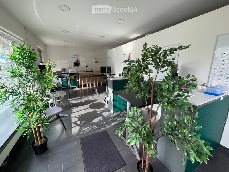 Modern office space with a reception area, desks, chairs, and potted plants. The room features a sleek, contemporary design with a mix of dark and light tones.