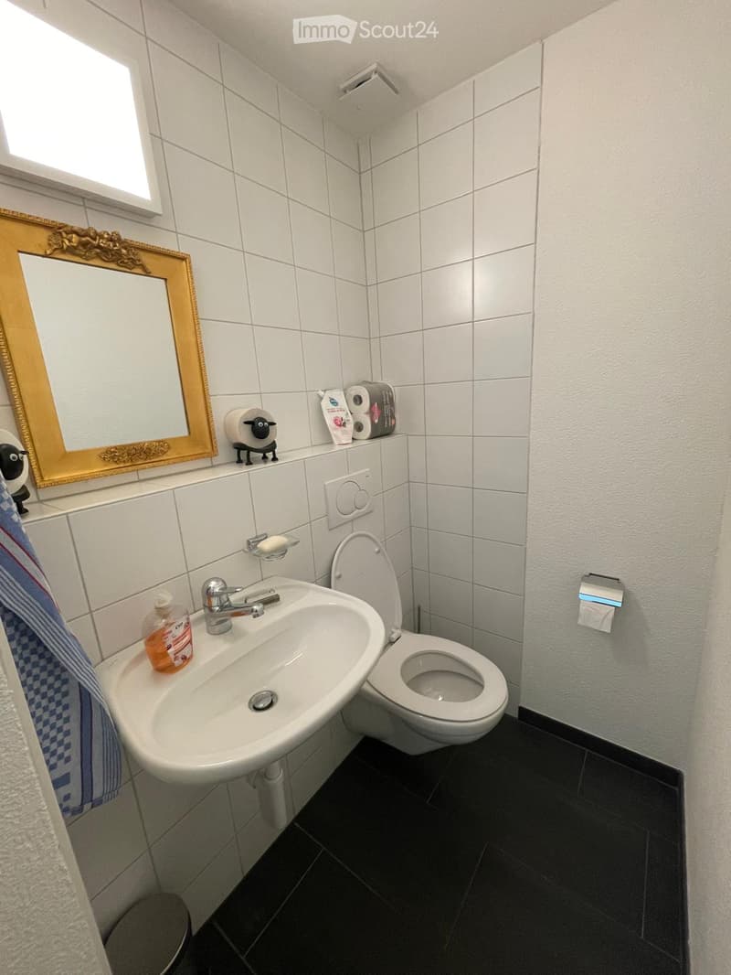 A small bathroom with a white sink, toilet, and mirror. The sink has a silver faucet and a soap dispenser. Toilet paper and a towel are visible, along with a decorative mirror and a small figurine on the windowsill.