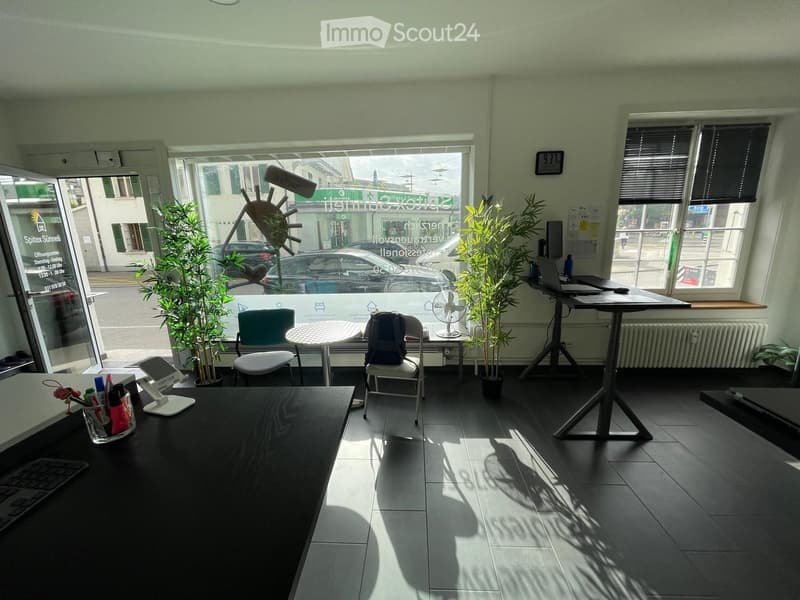 Bright, modern office space with large windows, a desk, chairs, a laptop, a fan, and potted plants.