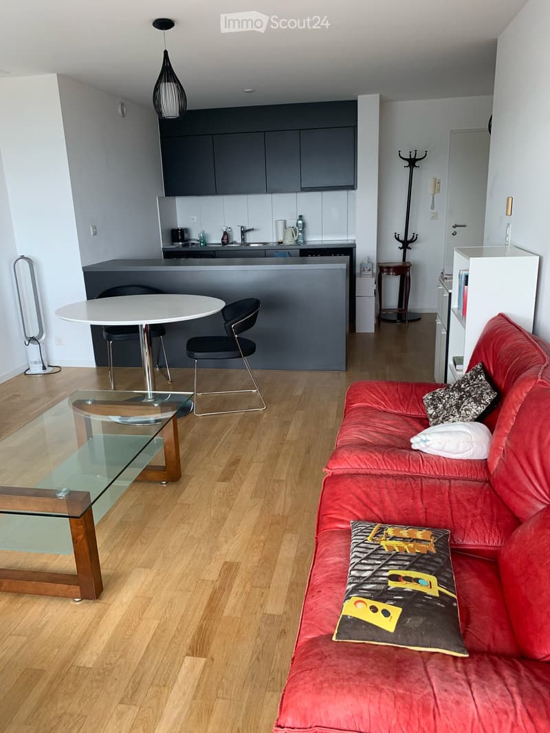 Appartement à Neuchâtel (6)