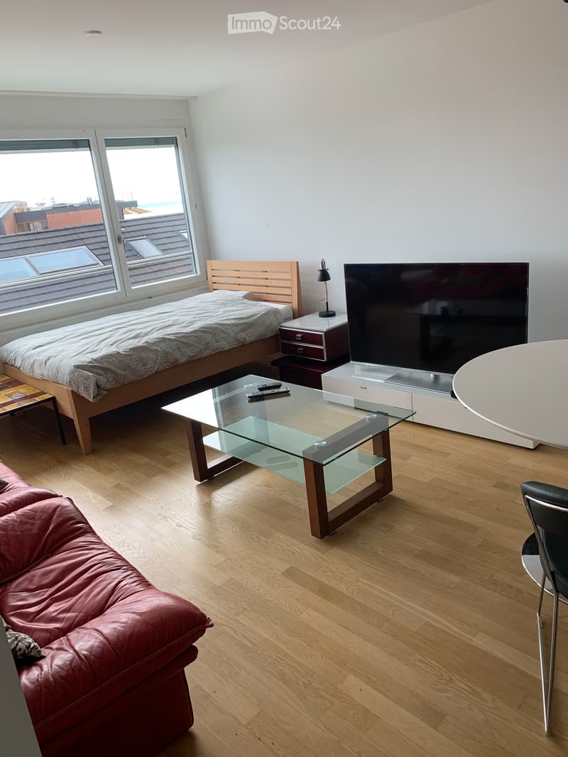 Appartement à Neuchâtel (5)