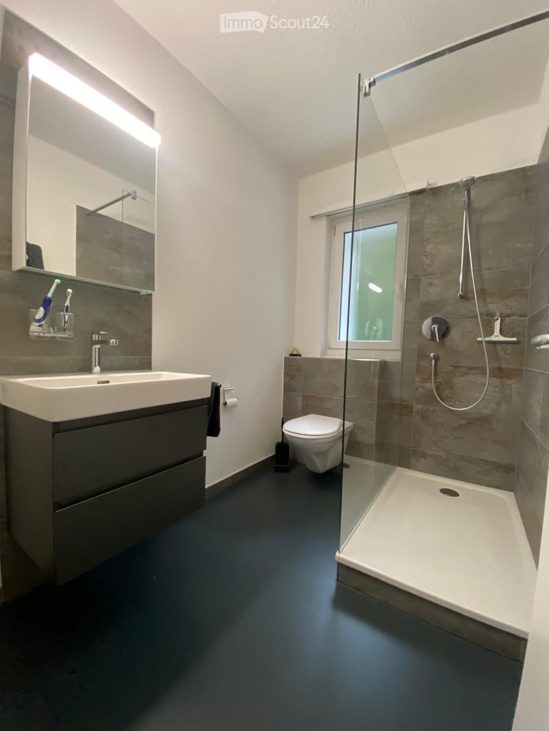 Modern bathroom with a dark blue floor, white sink, mirror, and a glass-enclosed shower area. Includes a toilet, towel, and toothbrush holders.