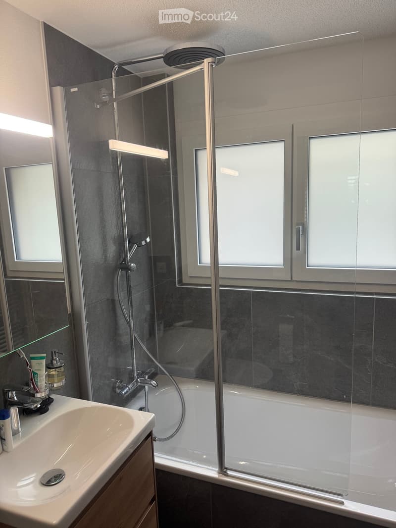 Modern bathroom with a white sink, dark grey tiles, a glass-enclosed shower area, and a bathtub. The sink has a chrome faucet and a toothbrush holder with a toothbrush and soap dispenser. The shower features a handheld showerhead and a fixed overhead show