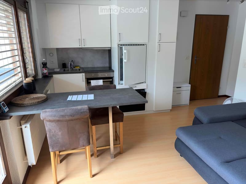 A modern, open-plan living and dining area with a grey sofa, a wooden dining table with chairs, and a kitchen area featuring white cabinets, a refrigerator, and a sink.