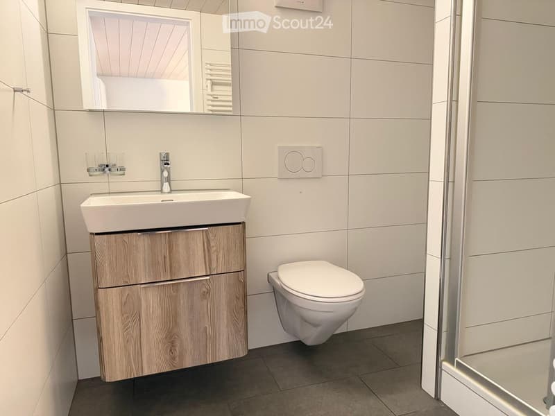 Modern bathroom with a white sink, wooden cabinet, toilet, and large mirror above the sink.
