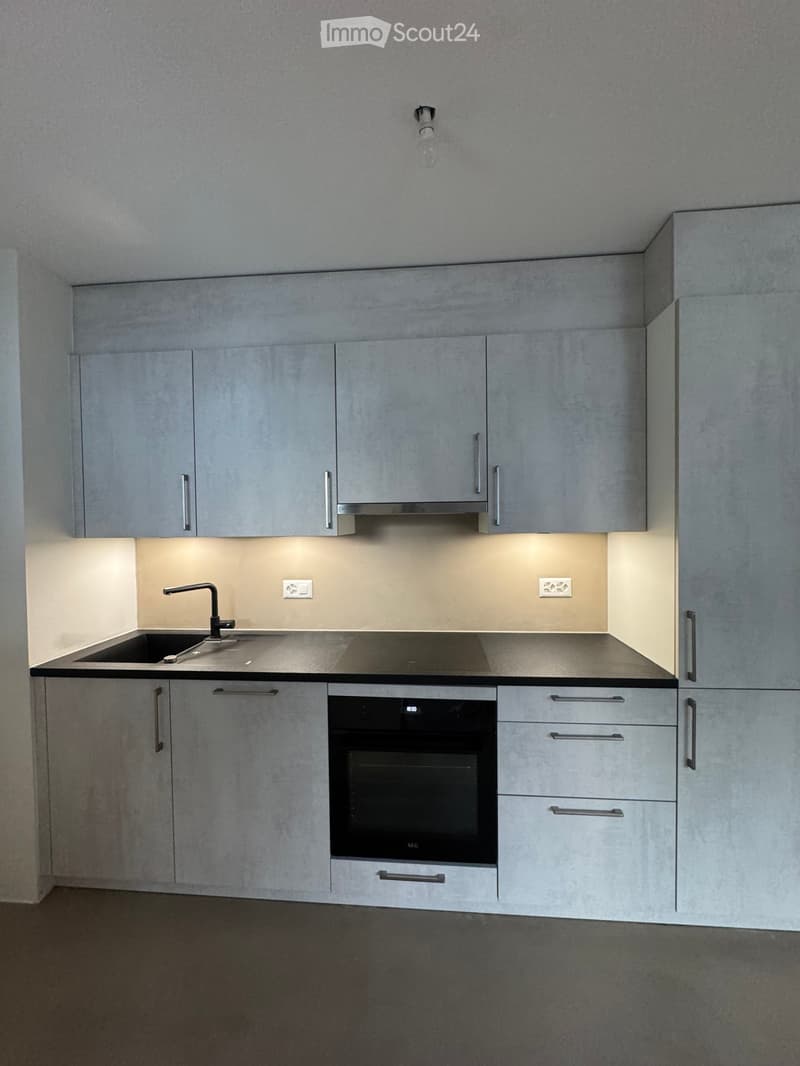 Modern kitchen with grey cabinets, a sink, a faucet, and an integrated oven. The lighting is soft and the space is clean and organized.