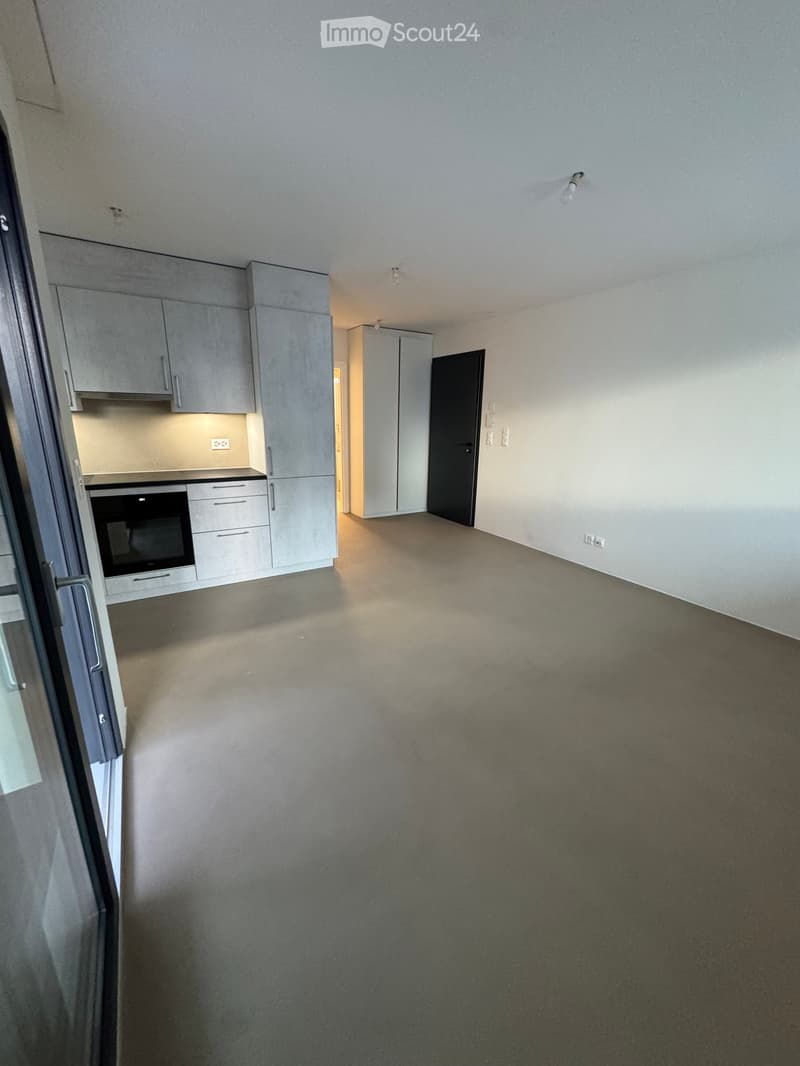 Empty room with grey cabinets, a black door, and a built-in oven. The floor is carpeted, and the walls are white.