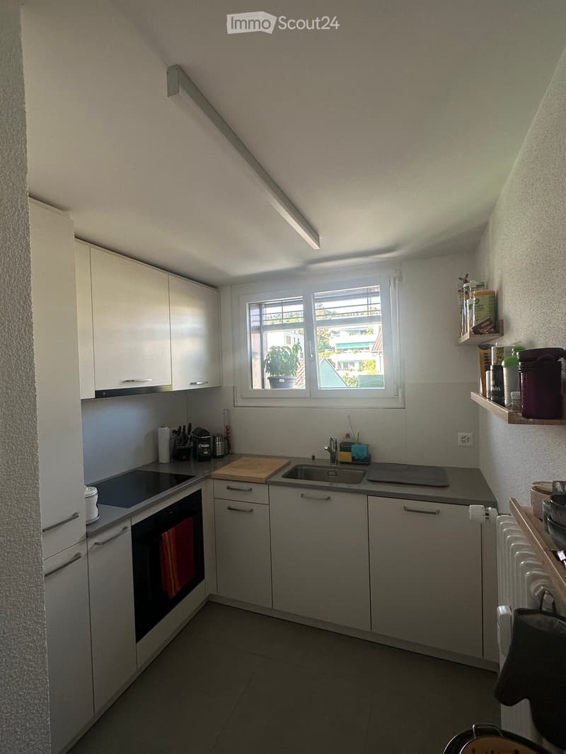 Modern kitchen with white cabinets, grey countertops, and stainless steel appliances. Features a window with a view of greenery, a sink with a faucet, and various kitchen items on shelves and counters.