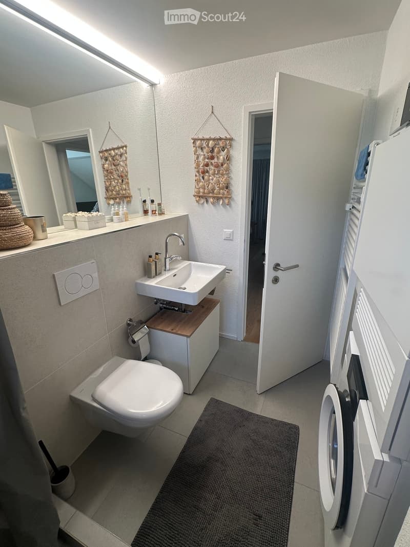Modern bathroom with a white sink, toilet, mirror, and a washing machine. Features decorative wall hangings, a bathroom rug, and various toiletries on the counter.