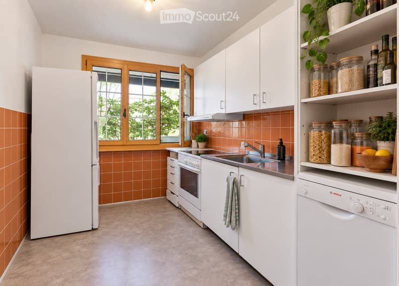 Modern kitchen with white cabinets, orange tiled backsplash, stainless steel appliances, and a window with wooden frame. Includes a refrigerator, oven, dishwasher, sink, and various jars and plants on shelves.