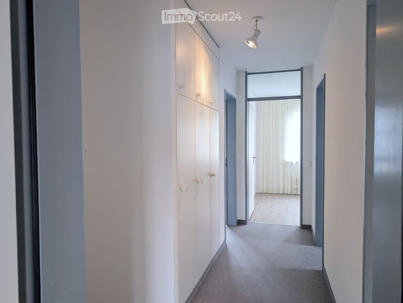 Modern hallway with white walls, carpeted floor, built-in white closet, recessed lighting, and an open doorway leading to another room.