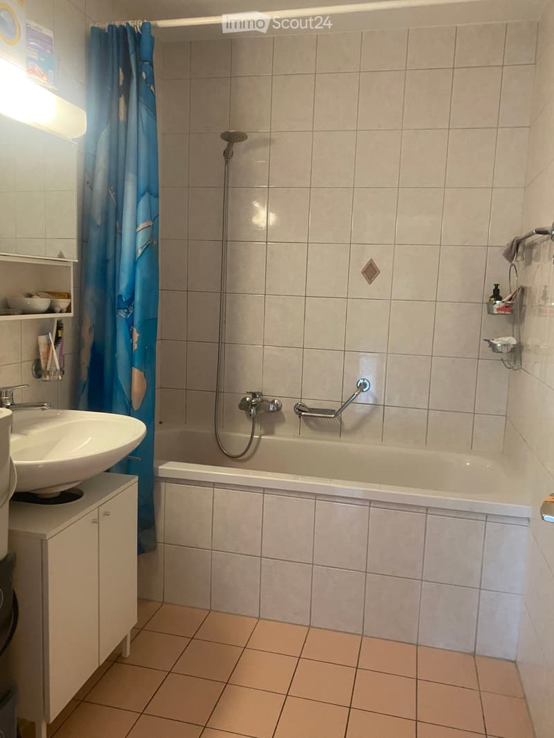Bathroom with a white tiled shower area, a sink with a cabinet underneath, and a small shelf with toiletries. The shower has a handheld showerhead and a built-in seat.