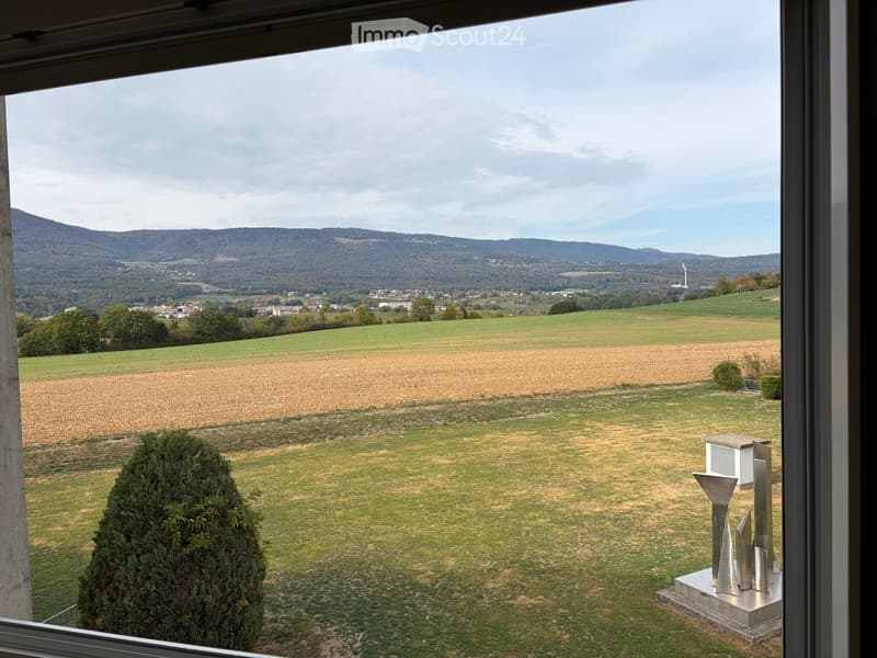 View from a window showing a grassy field with a sculpture, a trimmed bush, and distant hills and town.