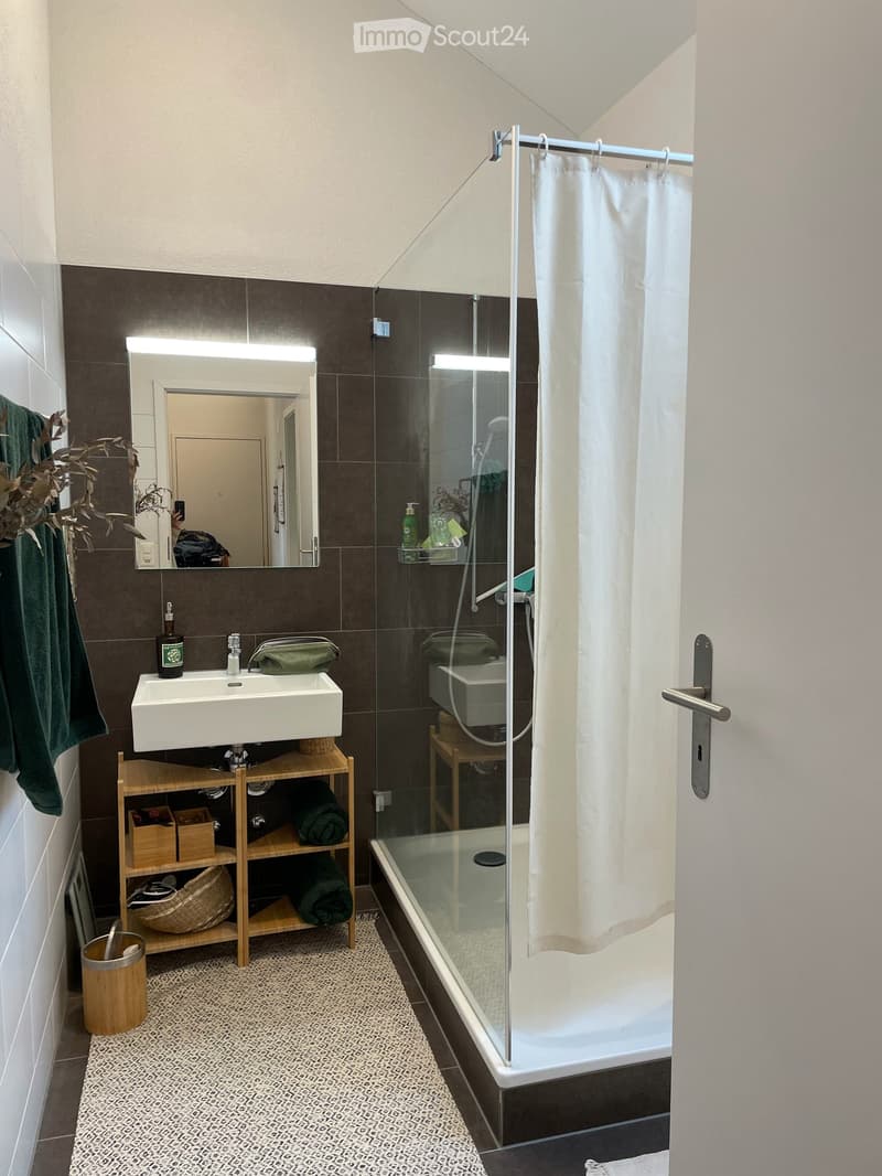 Dachwohnung mit Balkon im Breitenrain in Bern (9)