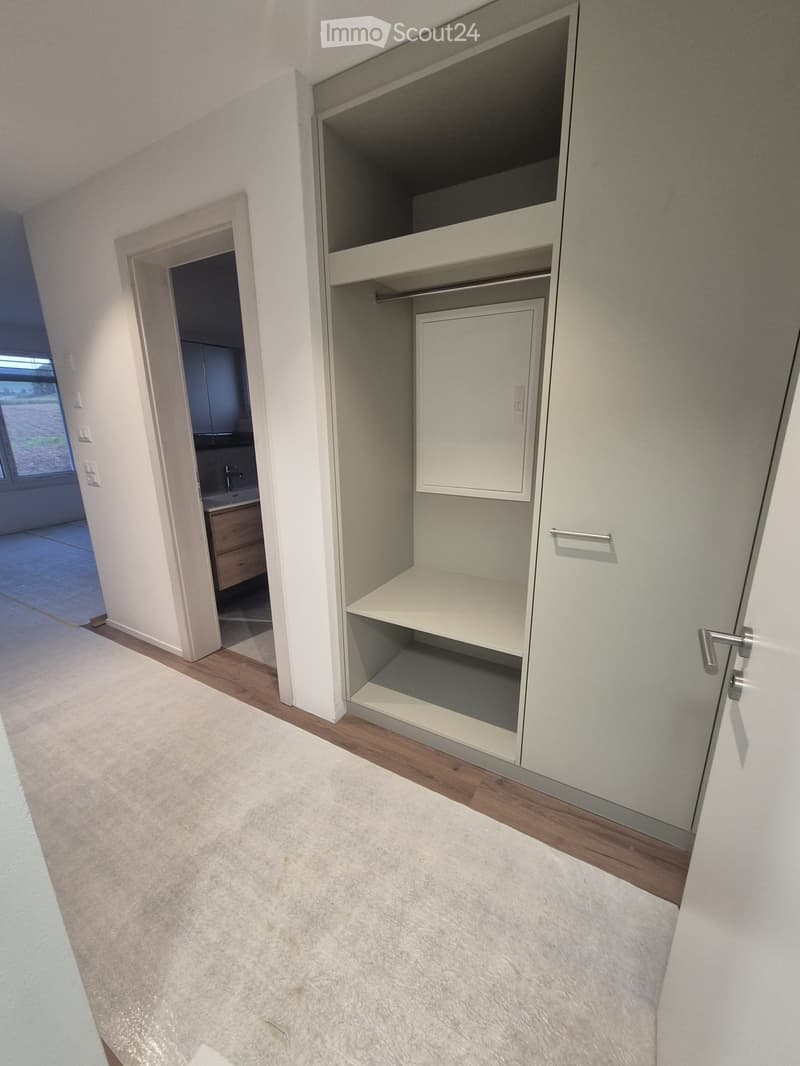 Empty room with white walls, light-colored carpet, and a built-in closet with shelves and a small cabinet. The adjacent room shows a bathroom with a sink and wooden vanity.
