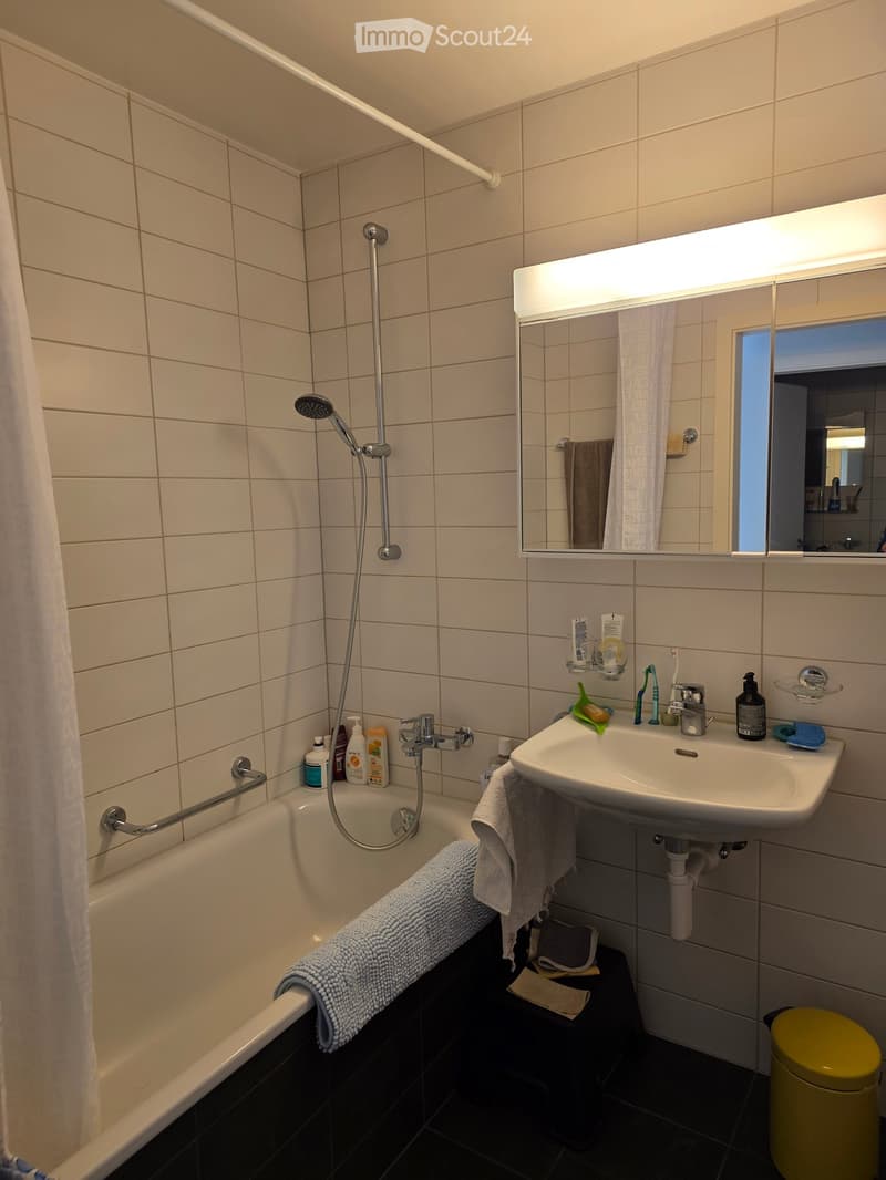 Modern bathroom with a bathtub, sink, mirror, and showerhead. Includes towels, toiletries, and a small trash bin.