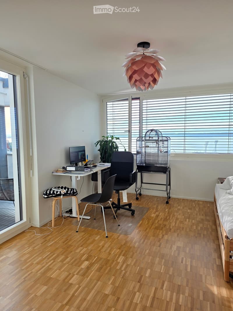 A modern, multi-functional room with a wooden floor, large windows, a desk with a laptop, a chair, a birdcage, a plant, and a decorative lamp.