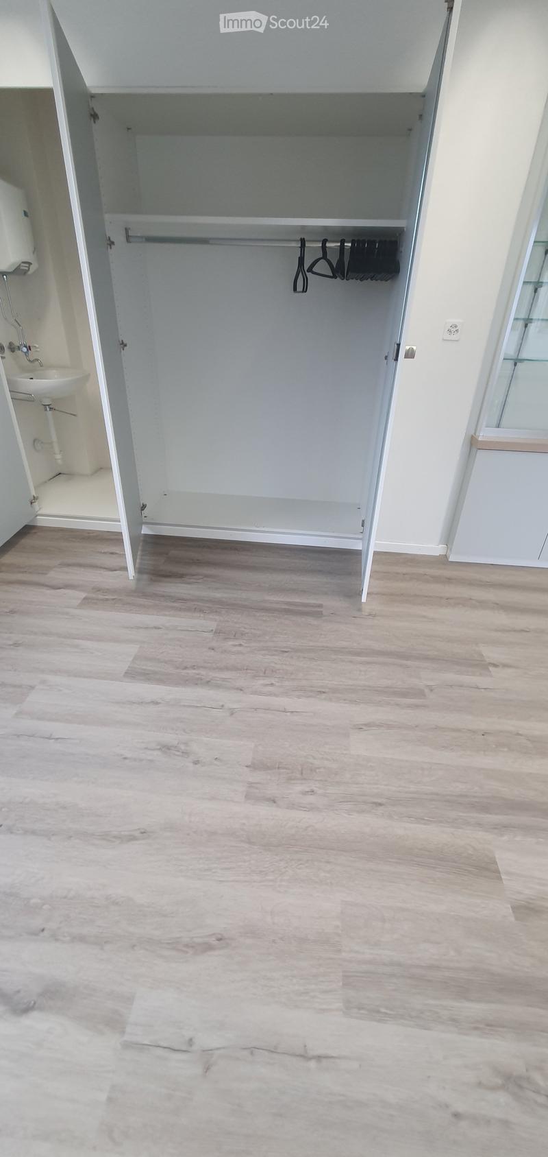 Empty room with light wooden flooring, white walls, and a built-in closet with a rod for hanging clothes. A small sink is visible in the adjacent area.