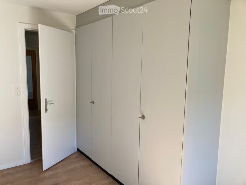 Empty room with white walls, wooden floor, and built-in white closet units.
