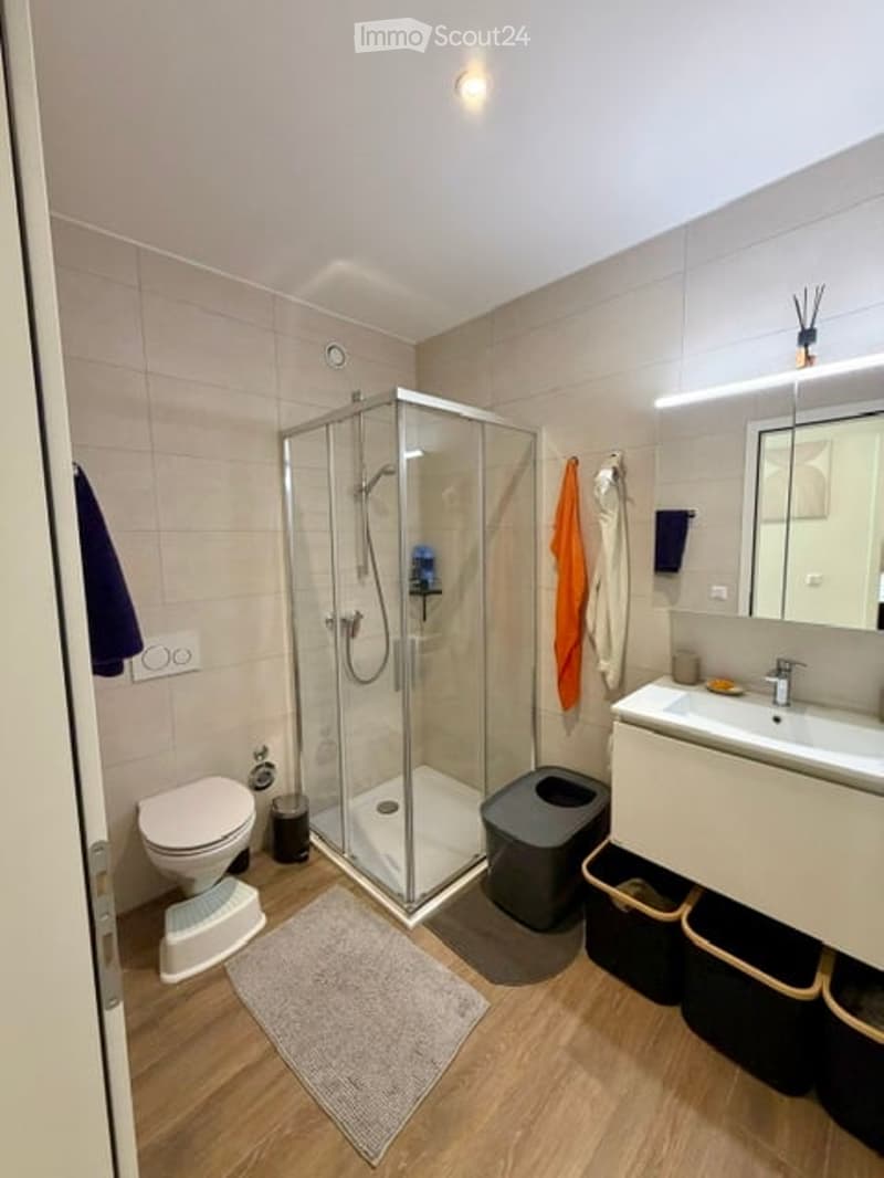Modern bathroom with a glass-enclosed shower, toilet, sink, and mirror. Includes a towel, trash bin, and a small rug on the wooden floor.