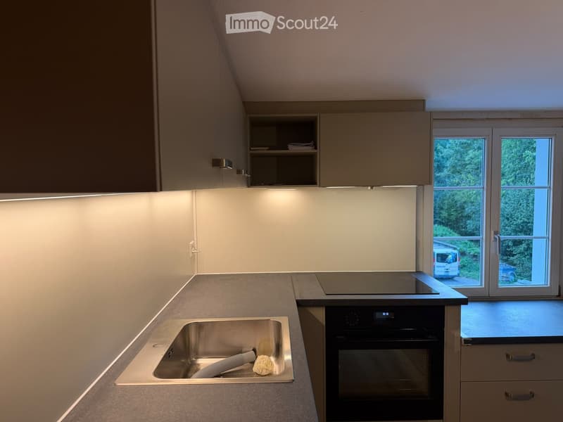 Modern kitchen with light grey cabinets, stainless steel sink, induction cooktop, and built-in oven. Large windows offer a view of greenery and a parked van outside.
