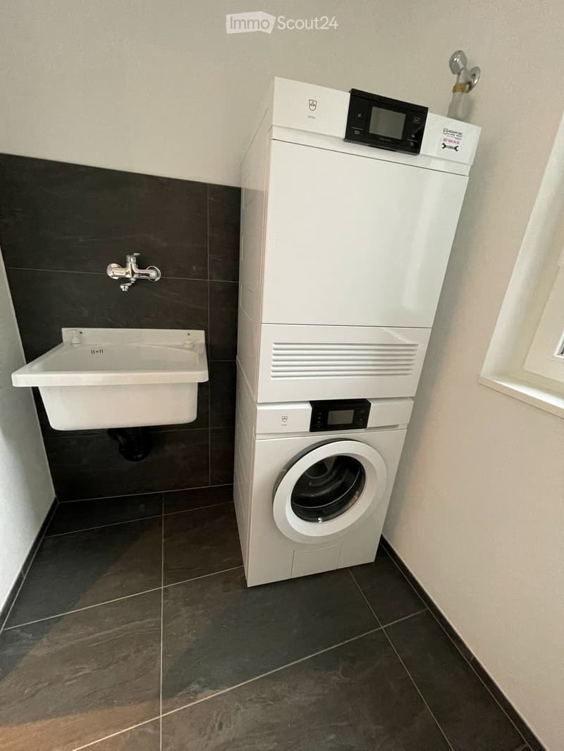 Bathroom with a white washing machine, a sink, and dark tiled walls and floor.