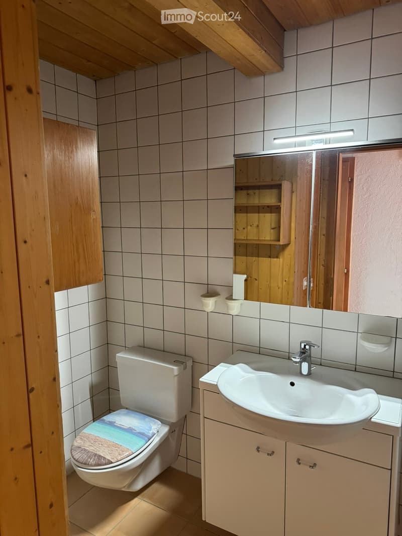 Bathroom with a toilet, sink, mirror, and wooden cabinet. The toilet has a decorative seat cover, and the walls are tiled.