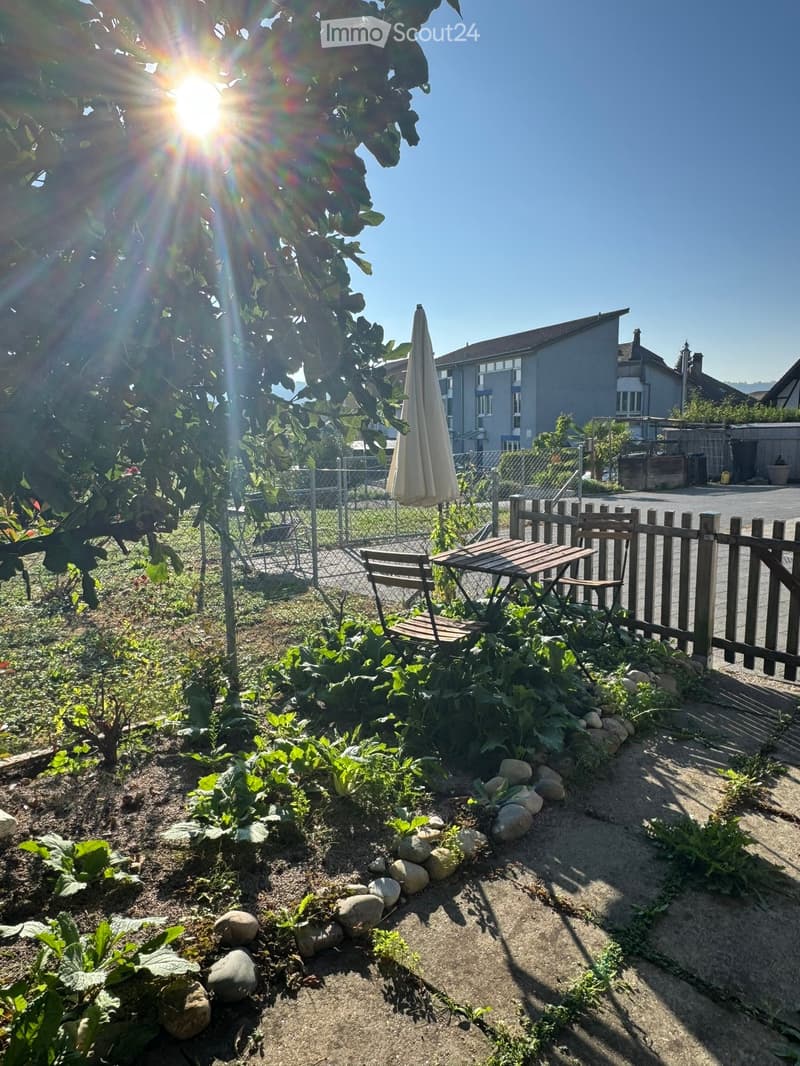 Garden with vegetables, a small wooden table and chairs, a closed umbrella, and a wooden fence. The garden is bordered by a gravel path and rocks, with a tree providing shade.